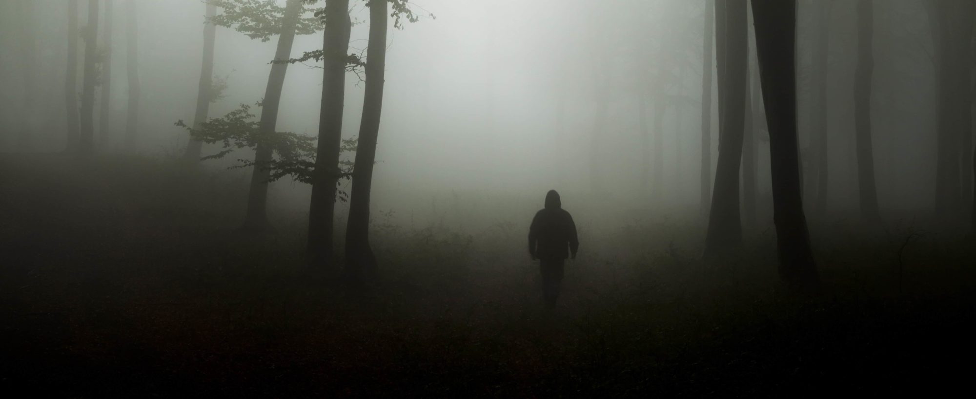 Dark horror man in creepy foggy forest | Dylan Jones Author